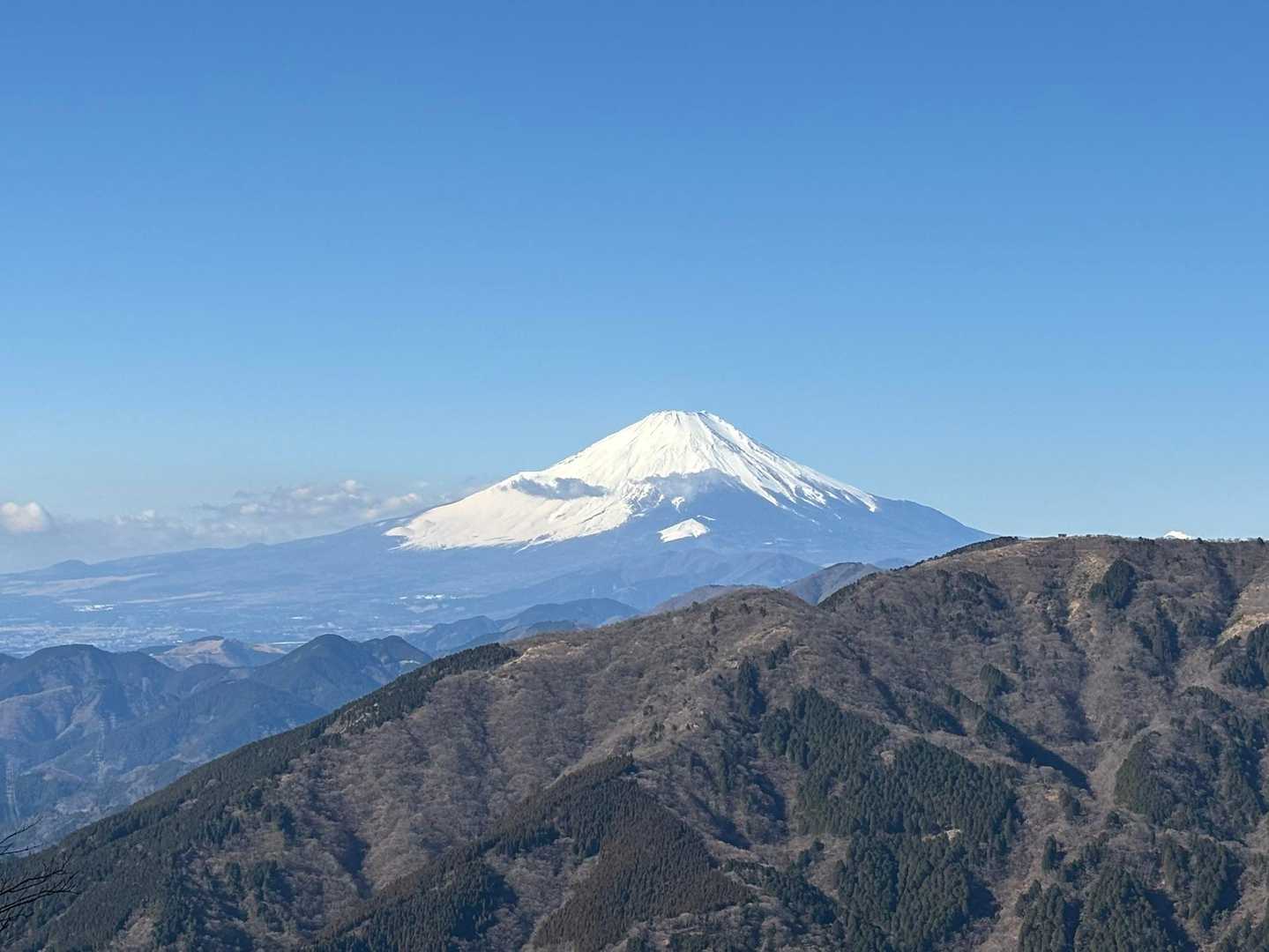 ヤビツ峠との分岐付近から