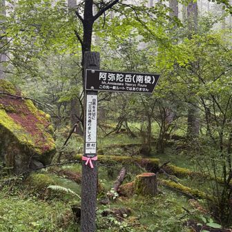 南稜　行きます⛰️