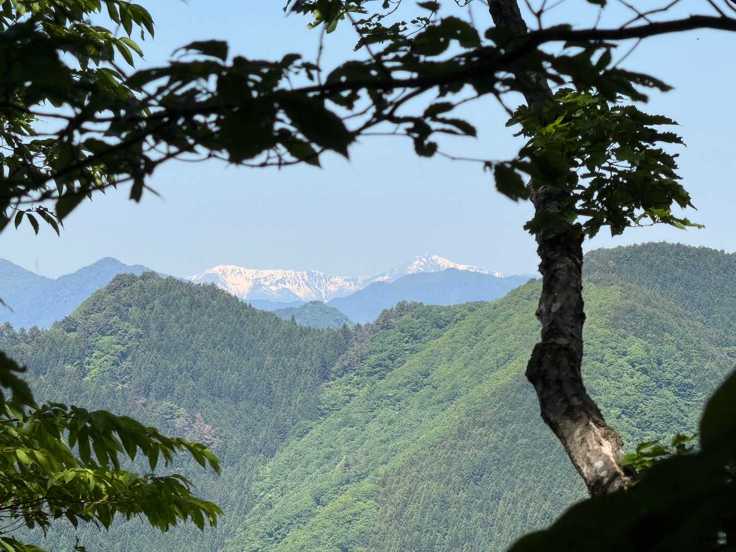 木々の合間から見えた南アルプス⛰️