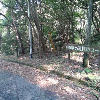 ここから登山道に入ります。