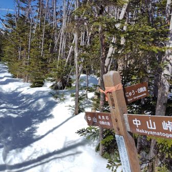 中山峠からここの分岐区間。歩いたことがなかったので歩いた