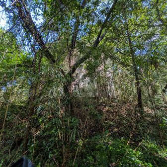 ピークらしき場所に　謎の建造物
給水タンクかな