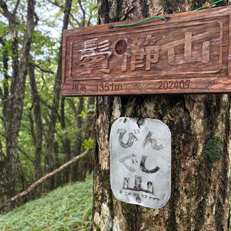 烏帽子ヶ岳から鬢櫛山は、ちょっと近い。