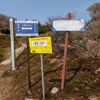 一旦下って、八風峠に着きました