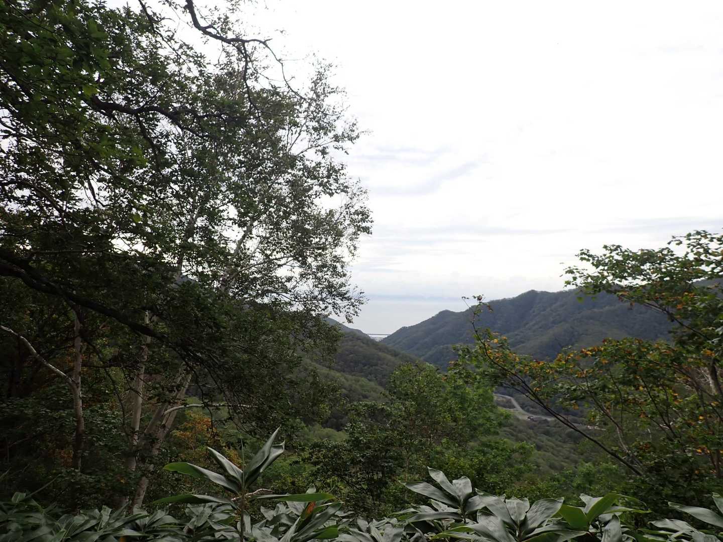 ここは里見台
ちょっと薄いけど国後島が見えます