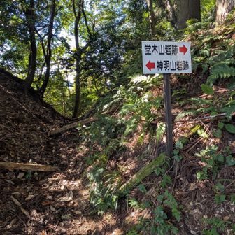 峠から堂木山への急登に取り付きます☞