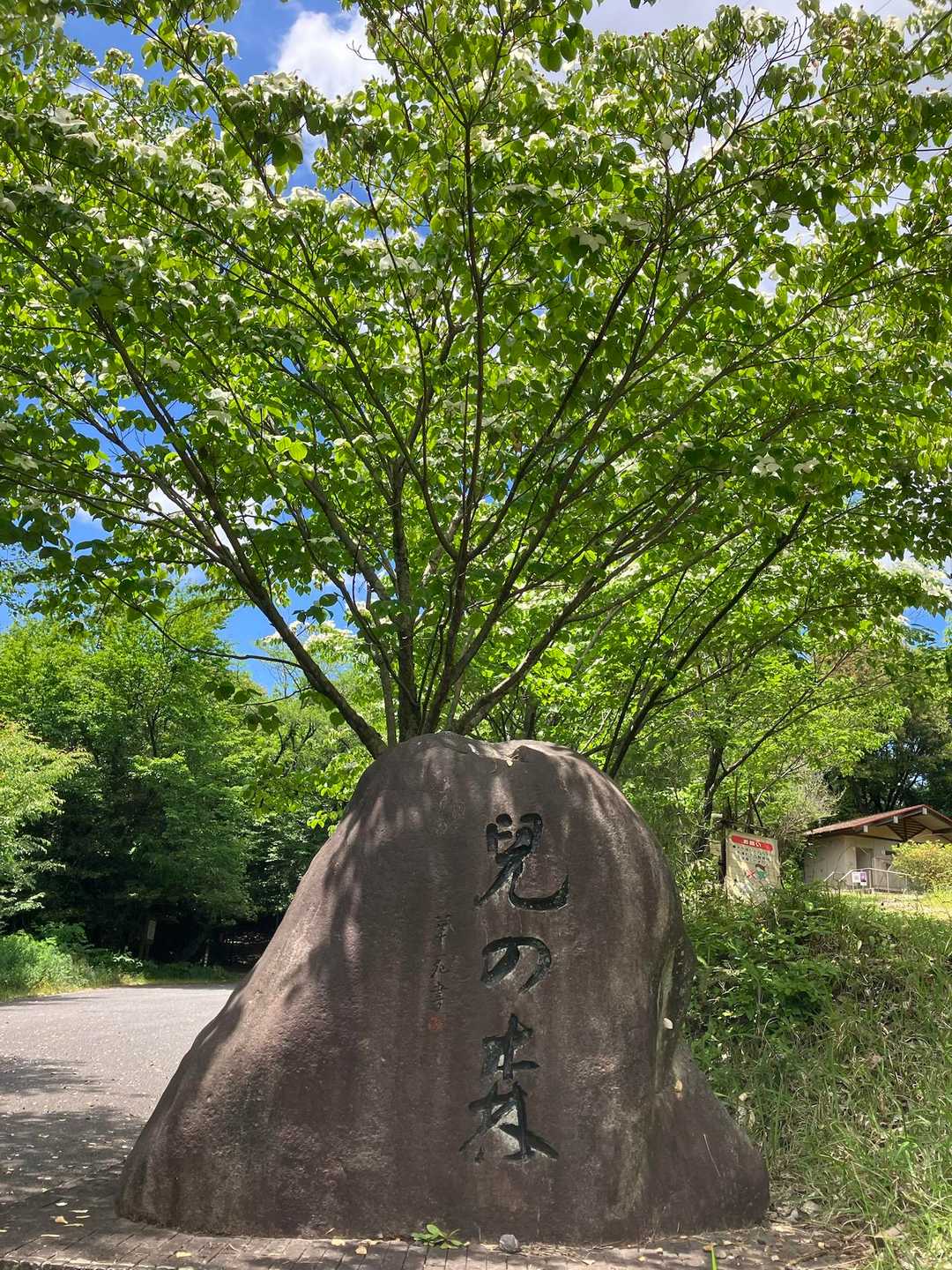 本堂ヶ峰-尾張白山 往復コースの写真