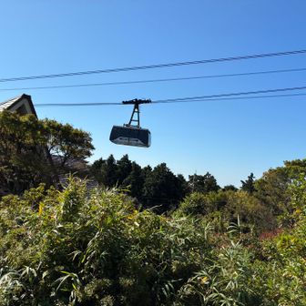 今日はロープウェーは動いてましたがケーブルカーは点検で終日運休でした。