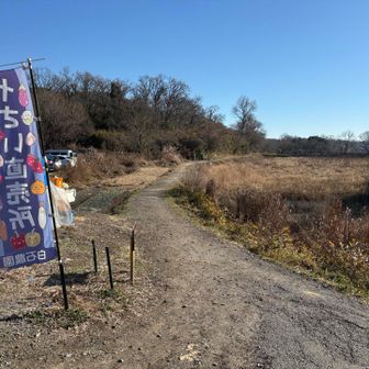 今日も一日頑張るｿﾞｲ！w