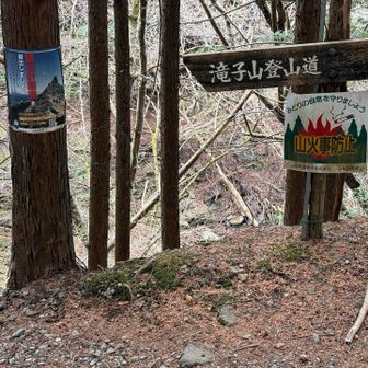 こっから大変です