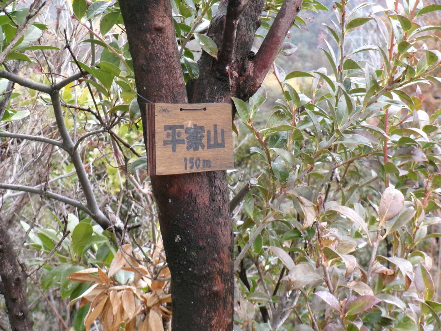 平家山