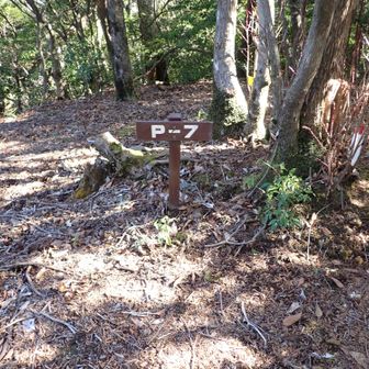 ここも展望なし