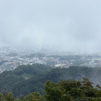 高尾ラピュタ☁️✨