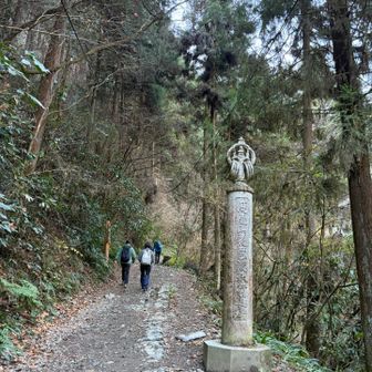 やはり6合路から🥾