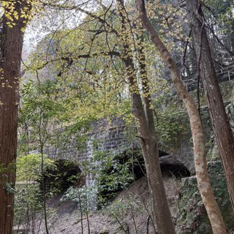 滑りやすい険しい登りを四つん這いで何とか登り、、