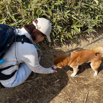 ワンちゃん連れの方におやつを頂きました。