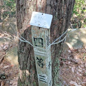 50分歩いて10回目の茶臼山ピーク🔟