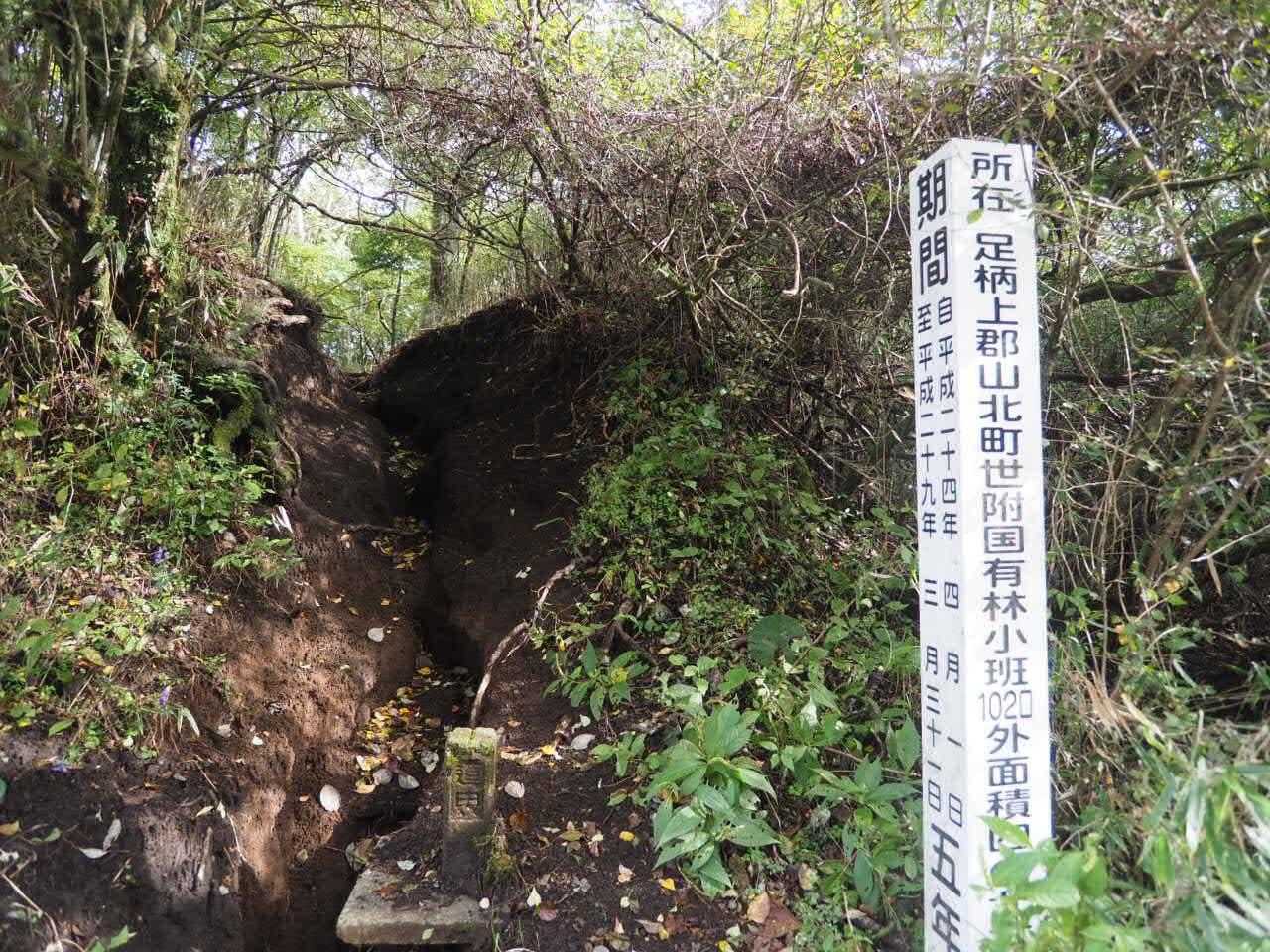 下山しました