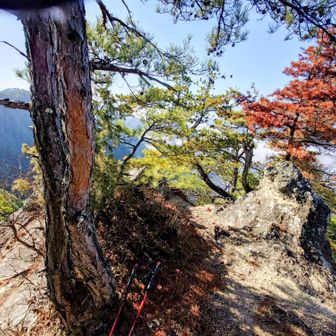 グレーピーク△
剣刷山とうちゃく🪨
山頂から下を覗くと大きな岩壁で足が竦んで怖かった😨