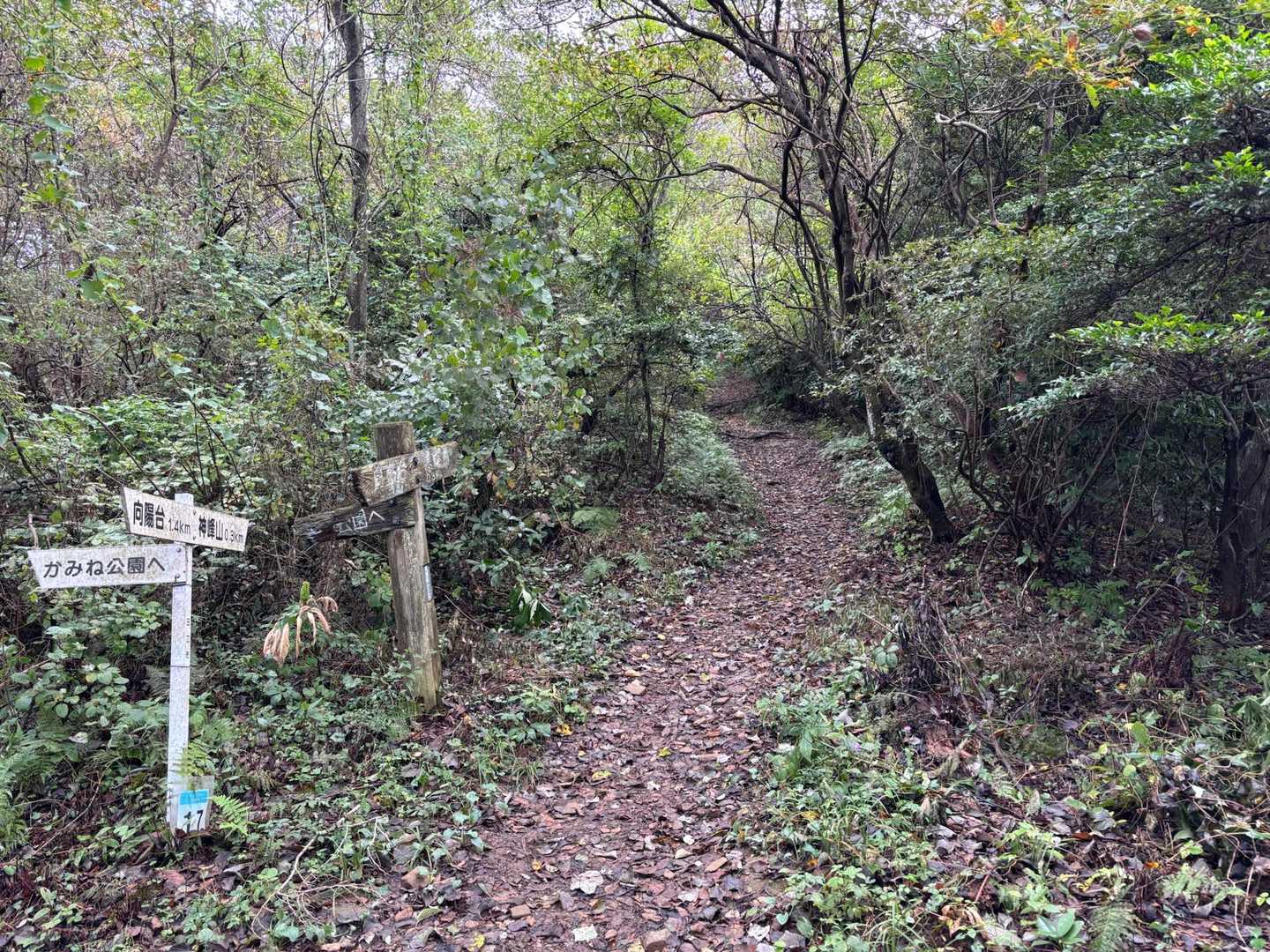 まずは山頂を目指して　それにしても暑い💦