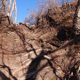 最後に登って！