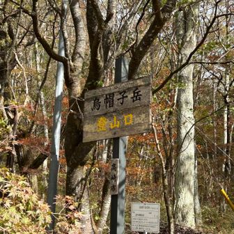 一旦道路に出て湖畔の登山口から