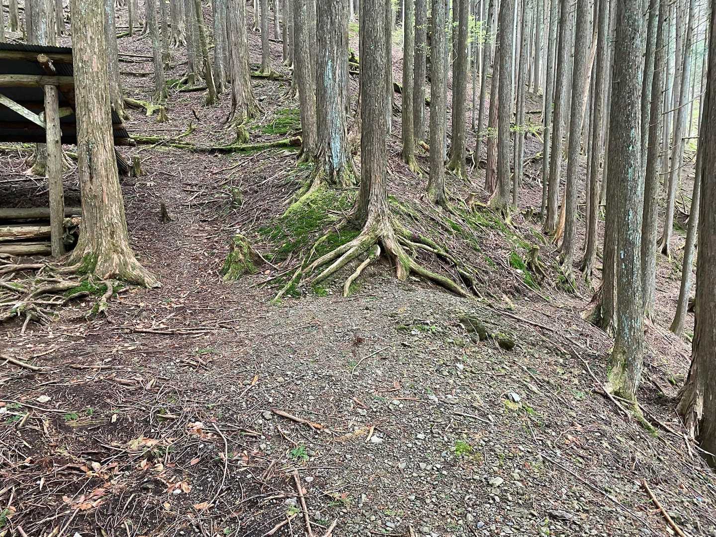 ここでも道間違えた､､､😭
右に行きがちだけど、NG‼️
左が正しい登山道⭕️