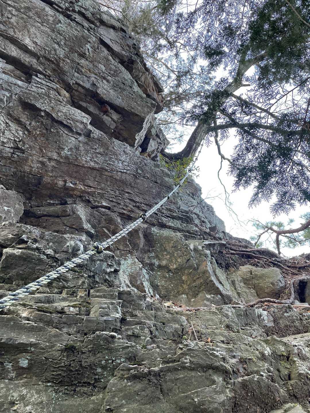 今年の山行で此処が1番の難所でした
写し方が悪いのでなかなか伝わります難いかも