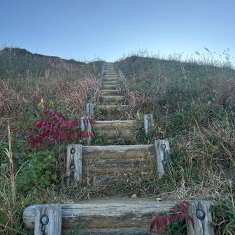 この上が
小文字山⛰️
