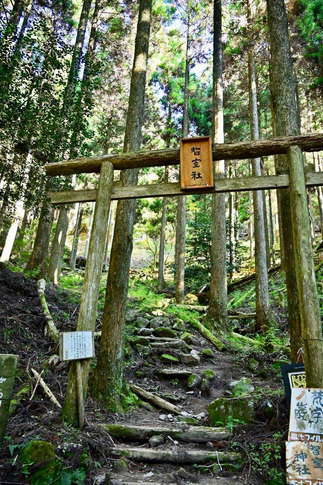 ここを登ります