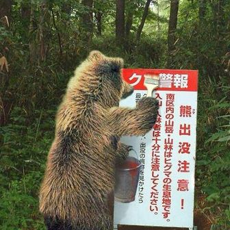 くまったなぁ😑