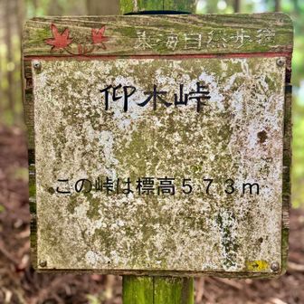仰木峠来ましたー 