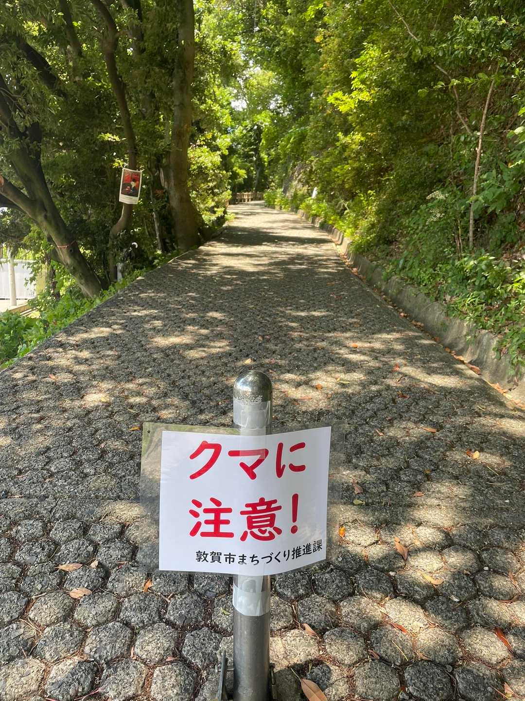 天筒入口 往復コースの写真