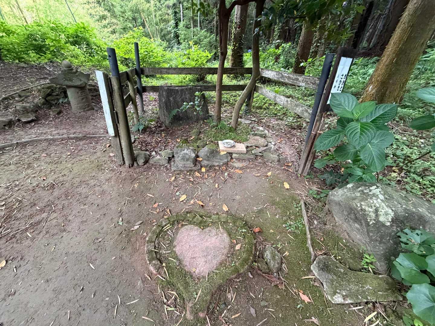高良大社 往復コースの写真