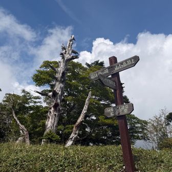 レンゲ辻分岐