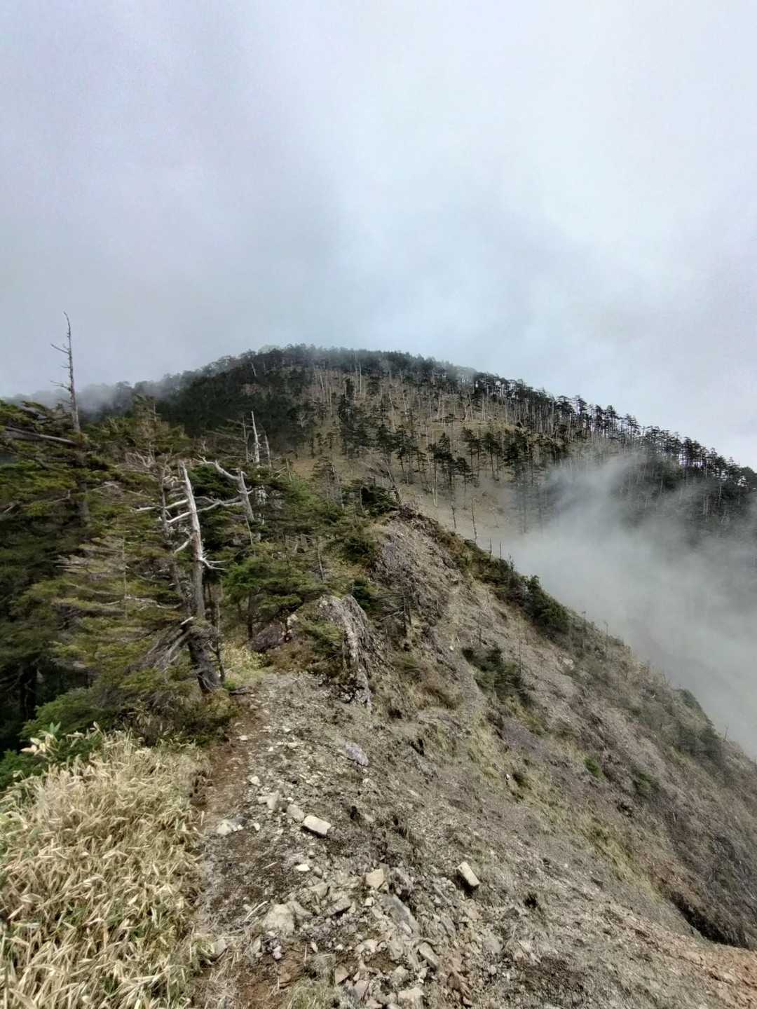 中ノ尾根山と手前の崩落地