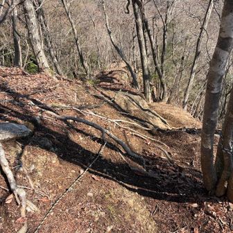 さすが大月近辺のお山、急勾配が多い💦毎回ダブルストックにするべきだったと後悔するのに忘れる。