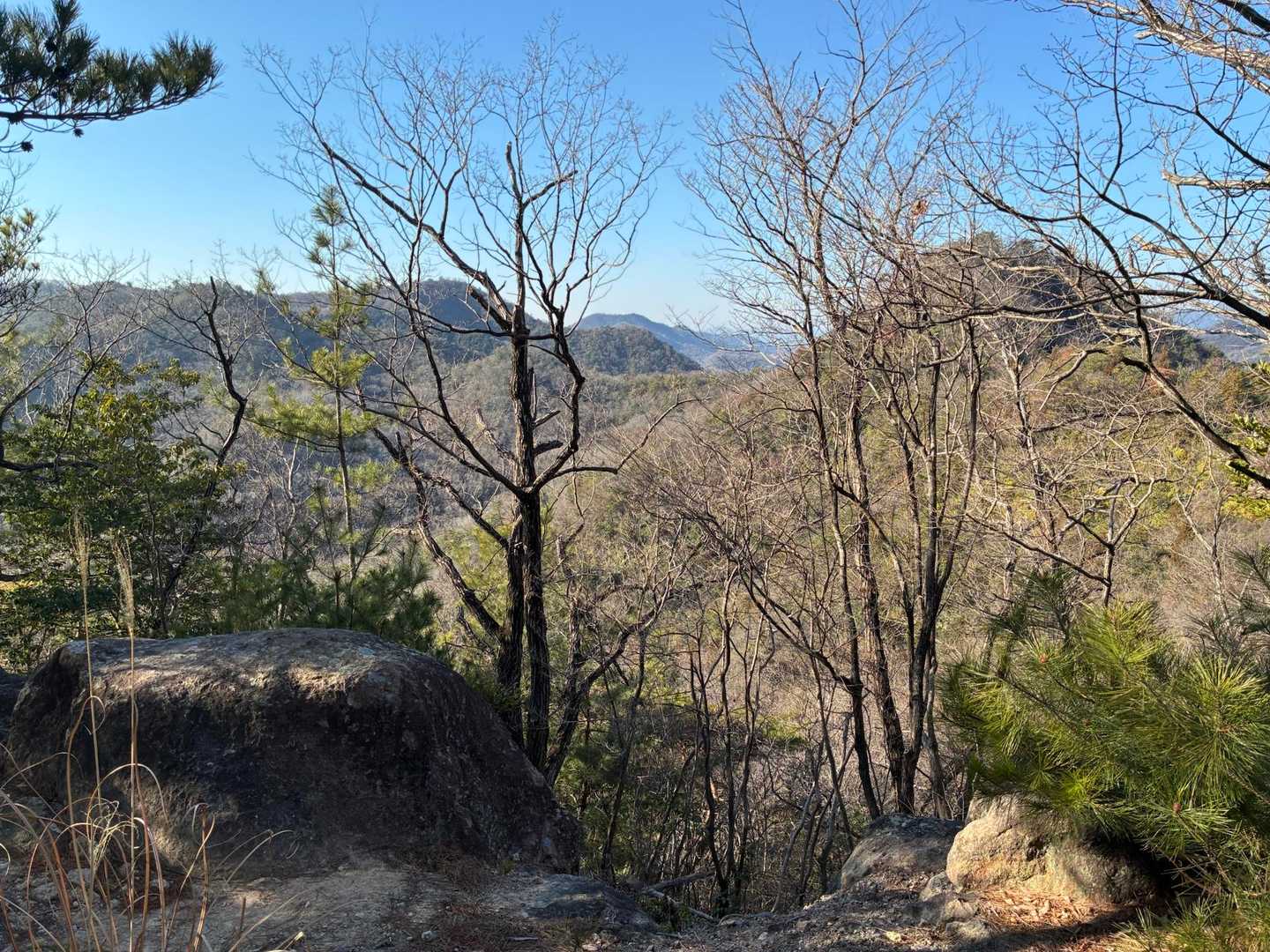 伊勢山 周回コースの写真
