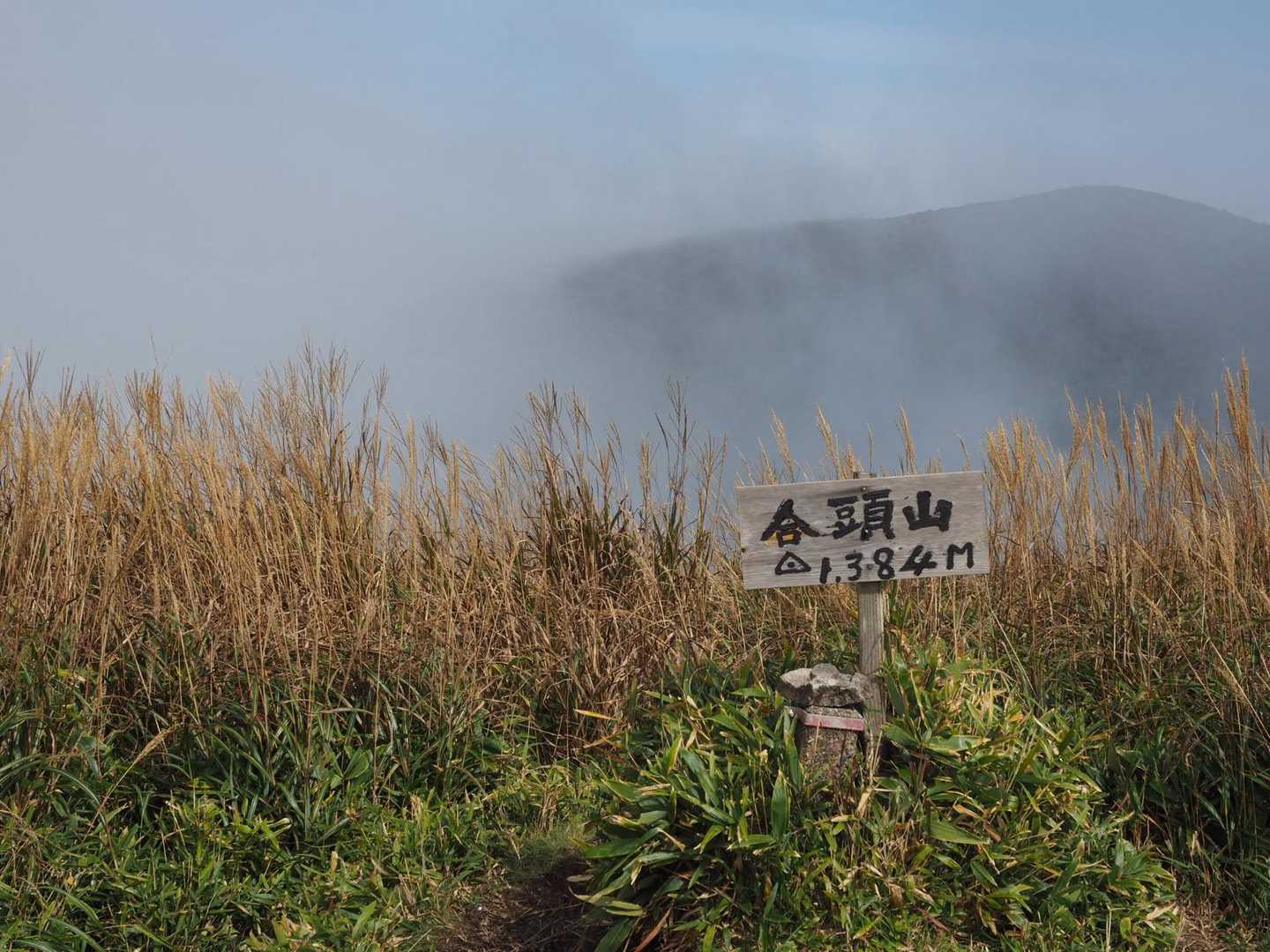 合頭山 往復コースの写真