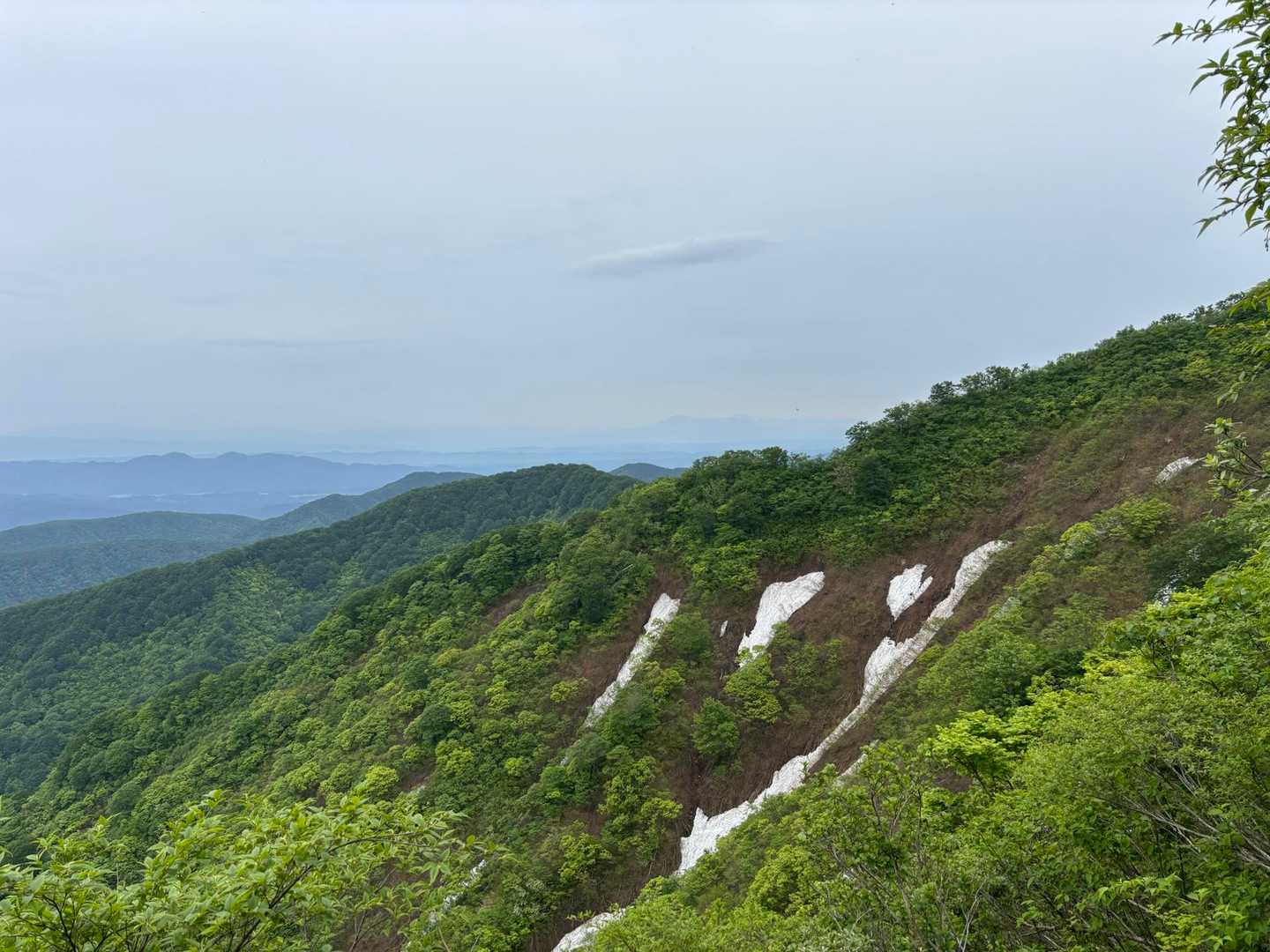米山（吉尾コース登山口）＜吉尾コース＞の写真