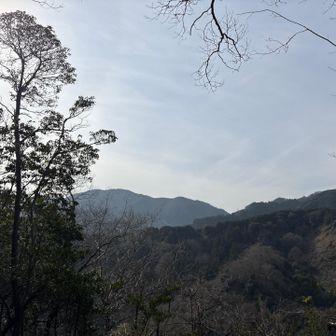 葛城さーんは今日もでっかいなー⛰️