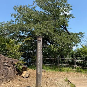 山頂に到着！