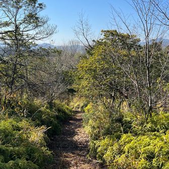 もうちょっとなんだけど、
痛みが酷くてゆっくりゆっくり🐢