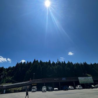 立体🅿️に駐車　トイレもキレイ✨