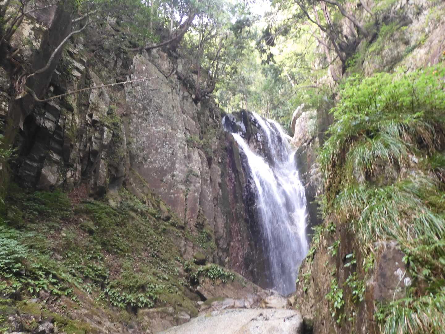 武奈ヶ岳-細川越 周回コースの写真