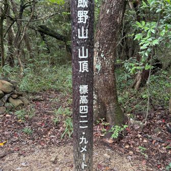 山頂に到着٩(^‿^)۶
大きな岩の後ろ側にあって、ちょっとわかりにくいところでした
