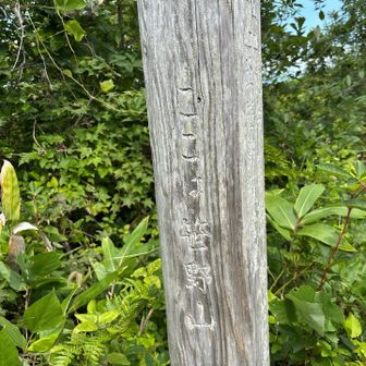「ここは笹野山」って書いてます😊