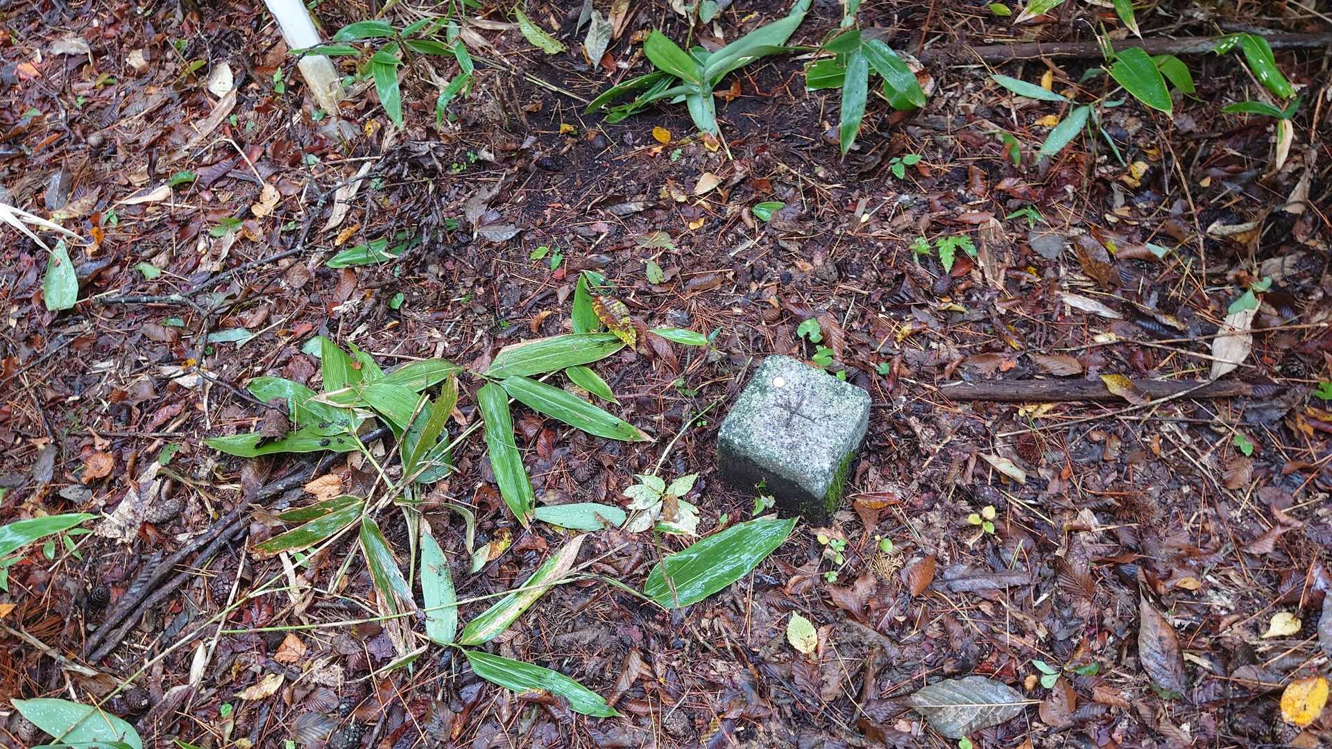 扇山三角点。二等三角点　点名:富村