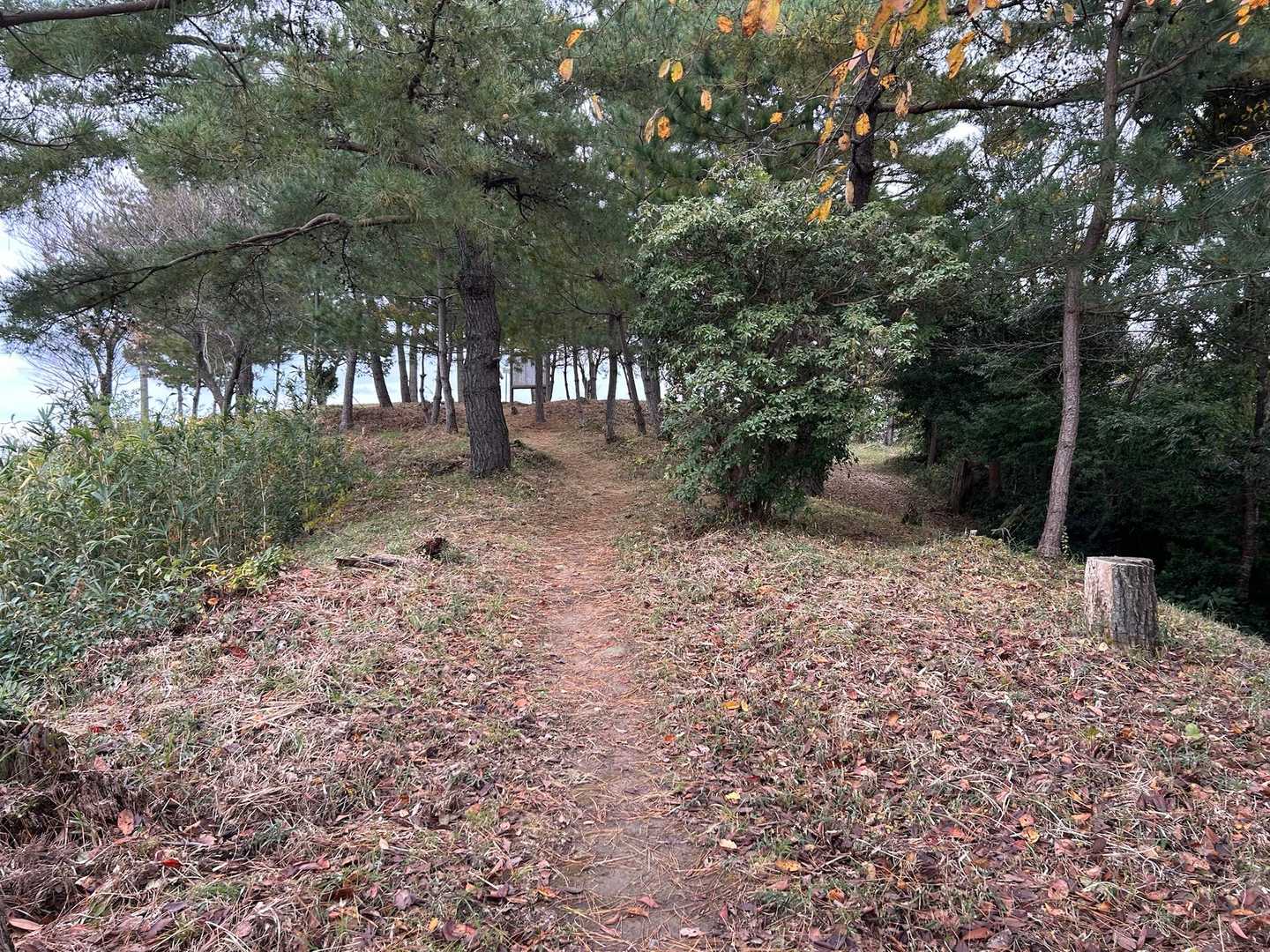 山頂かな