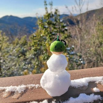 奥様が作った雪ダルマ⛄と
コケ丸様🟢
コケ丸「日陰は雪が残ってるぞ❗足を滑らせないようにな☝」
パパいぬ「任務了解❗行って参ります
(*｀･ω･)ゞ」

奥様「コケ丸様、鏡餅みたいやん🤣」
